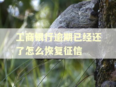 工商银行逾期已经还了怎么恢复征信 工商银行逾期已经还了怎么恢复征信