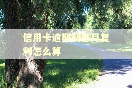 信用卡逾期利息月复利怎么算 信用卡逾期利息月复利怎么算