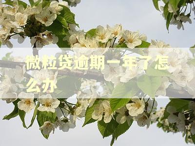 微粒贷逾期一年了怎么办