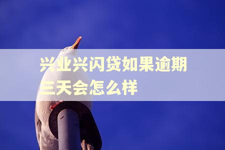 兴业兴闪贷如果逾期三天会怎么样