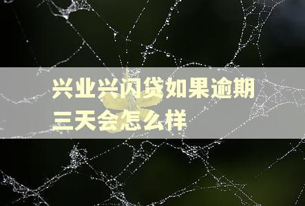 兴业兴闪贷如果逾期三天会怎么样 兴业兴闪贷如果逾期三天会怎么样