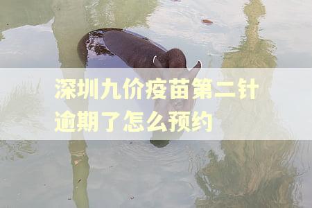深圳九价疫苗第二针逾期了怎么预约