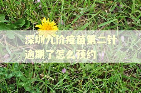 深圳九价疫苗第二针逾期了怎么预约 深圳九价疫苗第二针逾期了怎么预约