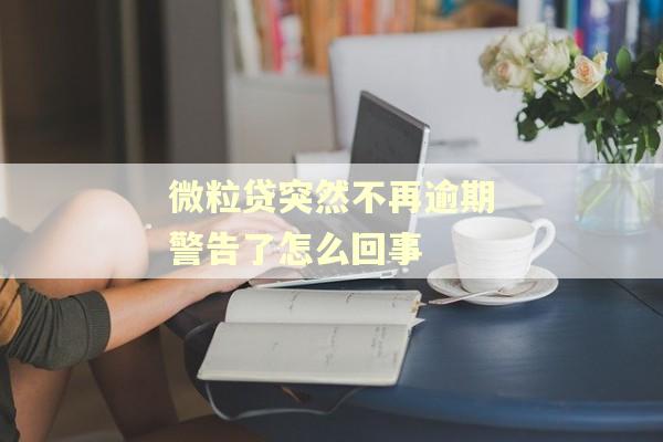 微粒贷突然不再逾期警告了怎么回事