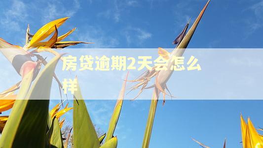 房贷逾期2天会怎么样