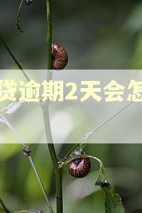 房贷逾期2天会怎么样