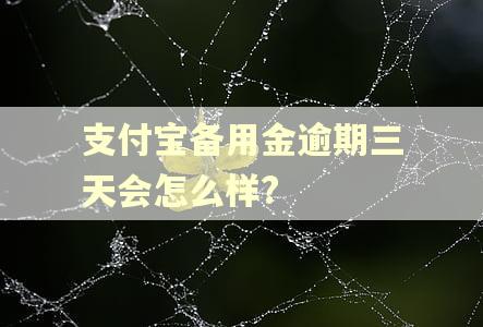 支付宝备用金逾期三天会怎么样?