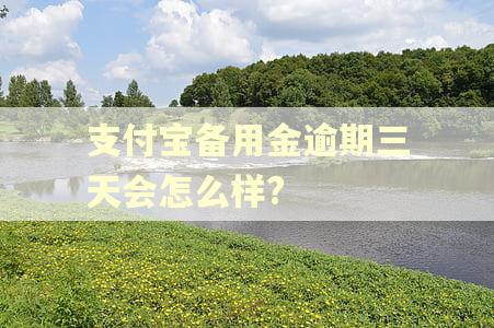 支付宝备用金逾期三天会怎么样?
