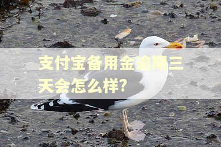 支付宝备用金逾期三天会怎么样?