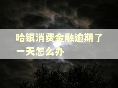 哈银消费金融逾期了一天怎么办
