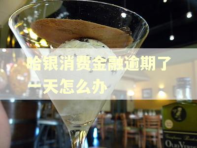 哈银消费金融逾期了一天怎么办