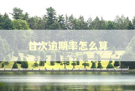 首次逾期率怎么算