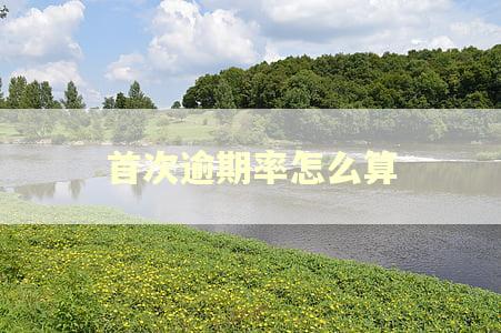 首次逾期率怎么算 首次逾期率怎么算