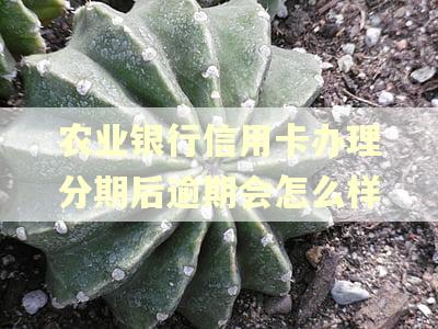 农业银行信用卡办理分期后逾期会怎么样