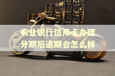 农业银行信用卡办理分期后逾期会怎么样 农业银行信用卡办理分期后逾期会怎么样