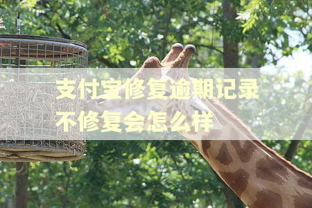 支付宝修复逾期记录不修复会怎么样 支付宝修复逾期记录不修复会怎么样