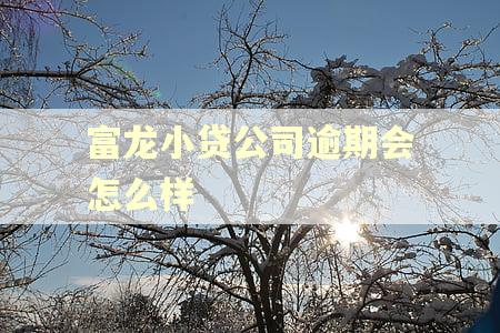 富龙小贷公司逾期会怎么样