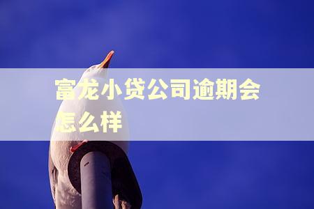 富龙小贷公司逾期会怎么样