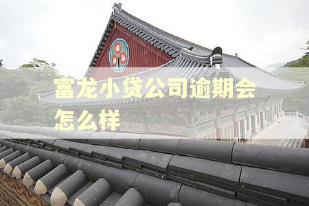 富龙小贷公司逾期会怎么样