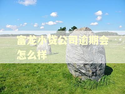 富龙小贷公司逾期会怎么样