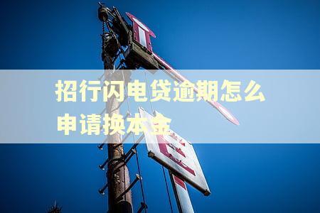 招行闪电贷逾期怎么申请换本金
