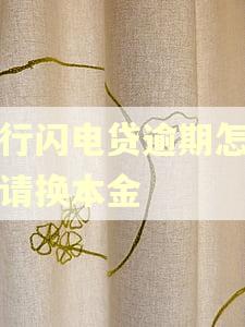 招行闪电贷逾期怎么申请换本金