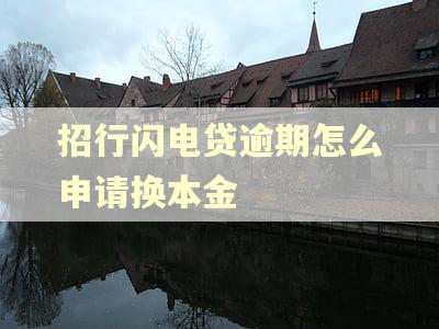 招行闪电贷逾期怎么申请换本金 招行闪电贷逾期怎么申请换本金