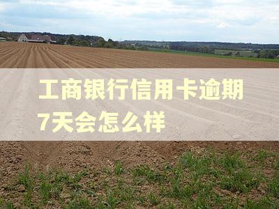 工商银行信用卡逾期7天会怎么样