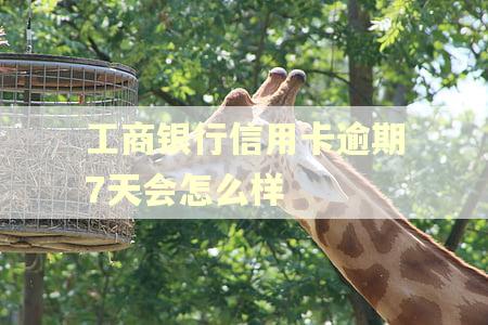 工商银行信用卡逾期7天会怎么样 工商银行信用卡逾期7天会怎么样