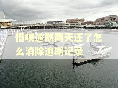 借呗逾期两天还了怎么消除逾期记录