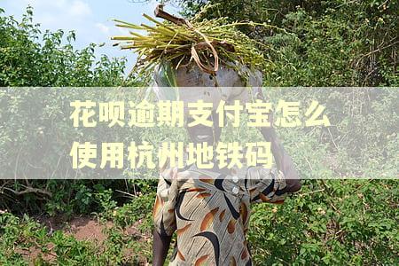 花呗逾期支付宝怎么使用杭州地铁码