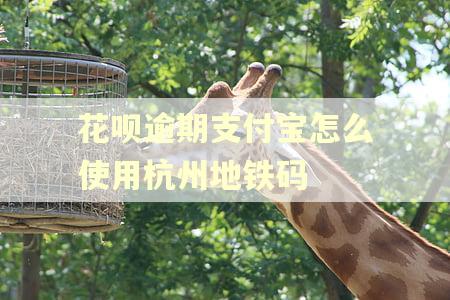 花呗逾期支付宝怎么使用杭州地铁码