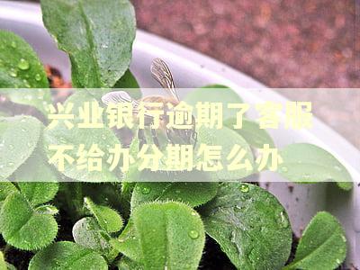 兴业银行逾期了客服不给办分期怎么办