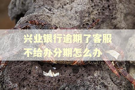 兴业银行逾期了客服不给办分期怎么办