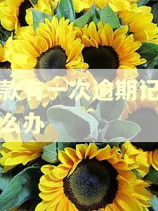 贷款有一次逾期记录怎么办