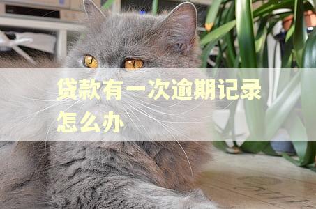 贷款有一次逾期记录怎么办