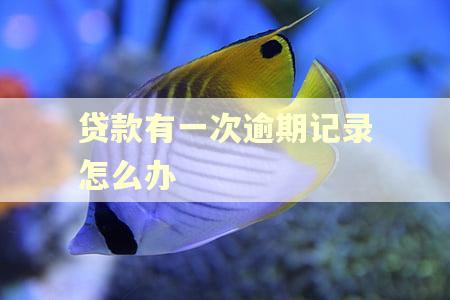 贷款有一次逾期记录怎么办