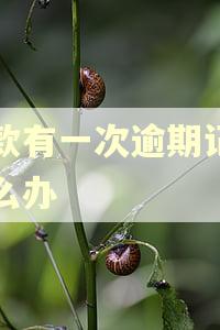 贷款有一次逾期记录怎么办 贷款有一次逾期记录怎么办
