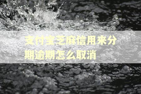 支付宝芝麻信用来分期逾期怎么取消