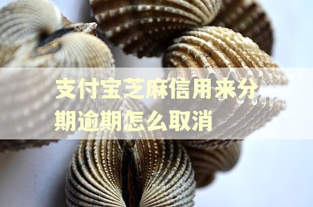 支付宝芝麻信用来分期逾期怎么取消