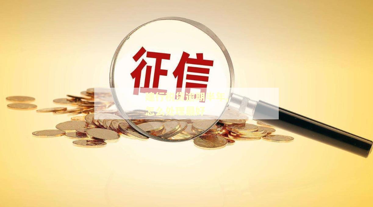 建行税贷逾期半年,怎么处理最好