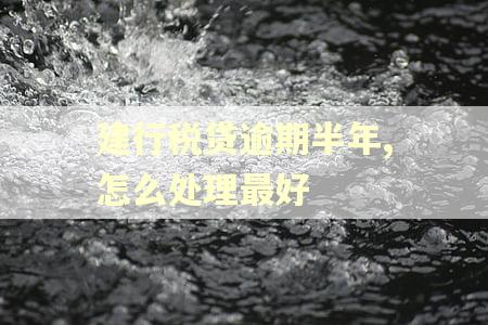 建行税贷逾期半年,怎么处理最好