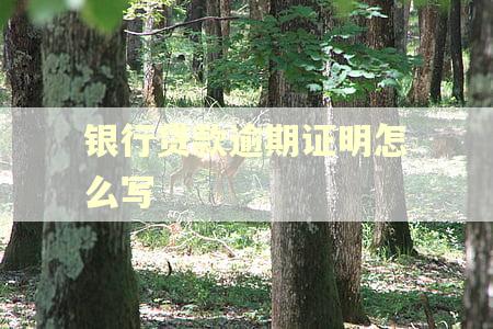 银行贷款逾期证明怎么写