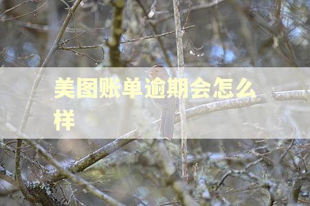 美图账单逾期会怎么样