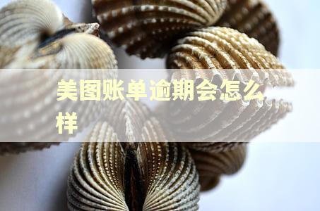 美图账单逾期会怎么样