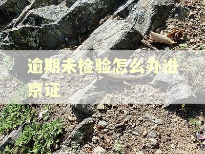 逾期未检验怎么办进京证