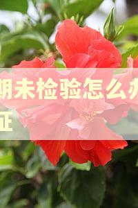逾期未检验怎么办进京证 逾期未检验怎么办进京证