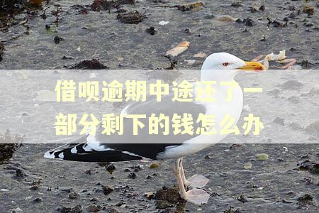 借呗逾期中途还了一部分剩下的钱怎么办