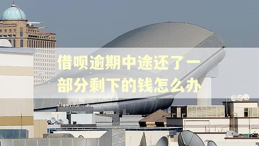 借呗逾期中途还了一部分剩下的钱怎么办