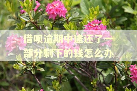 借呗逾期中途还了一部分剩下的钱怎么办 借呗逾期中途还了一部分剩下的钱怎么办